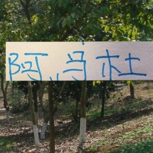 KaiyunAPP-亚冠别受伤才是王道！ 想想去年申花兽腰阿马杜 太可惜了