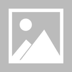 【夜读】“坎特配得上金球奖” 博格巴为好友拉票？